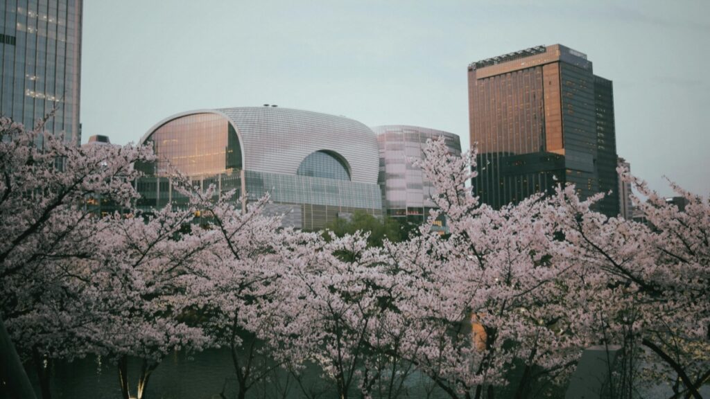 How Togo Whatsapp Bloggers Can Collaborate With UK Advertisers in 2025