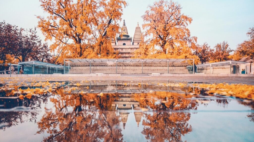 How Togo Twitter Bloggers Can Collaborate With USA Advertisers in 2025