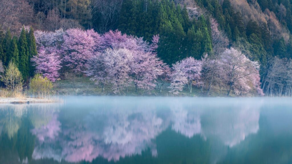 How Togo Instagram Bloggers Can Collaborate with Indonesia Advertisers in 2025