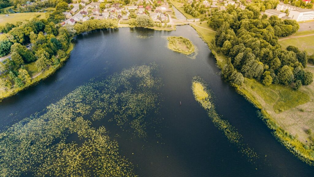 How Togo TikTok Bloggers Can Collaborate with Egypt Advertisers in 2025