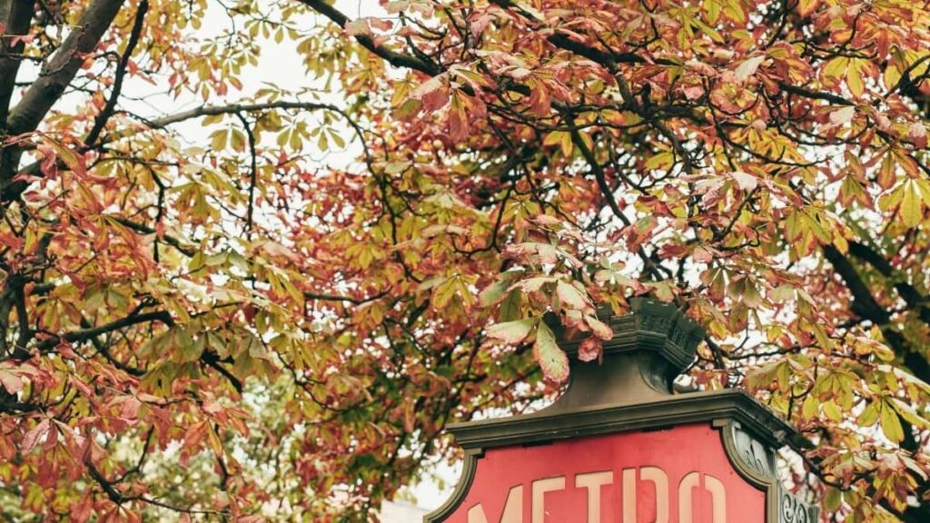 2025 India Snapchat AllCategory Advertising Rate Card Togo Insights