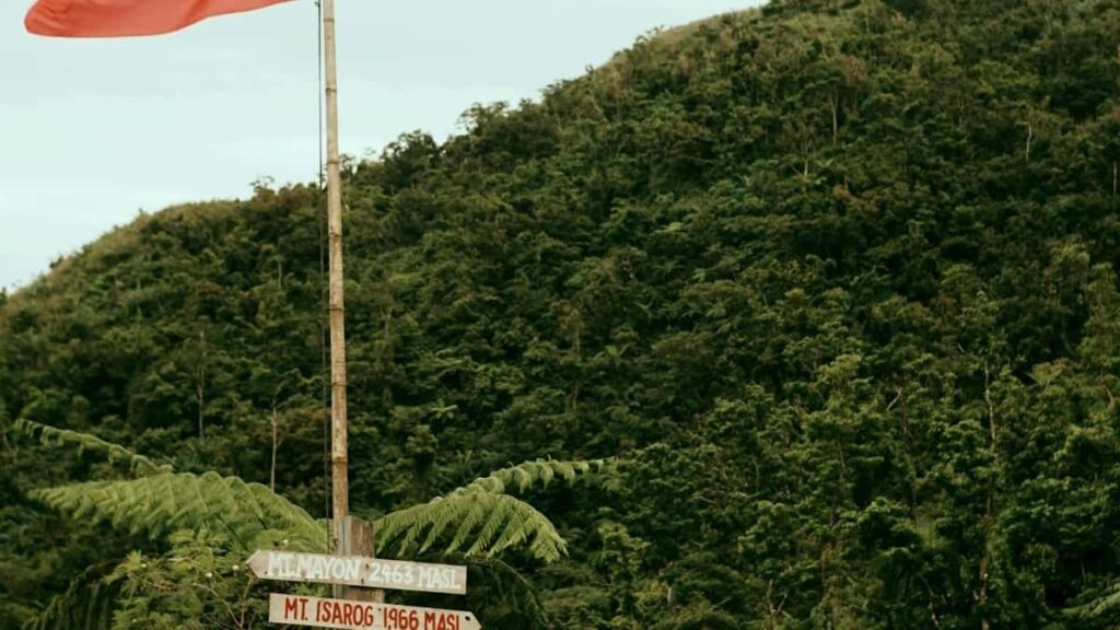 2025 South Korea TikTok Advertising Rate Card for Togo Market