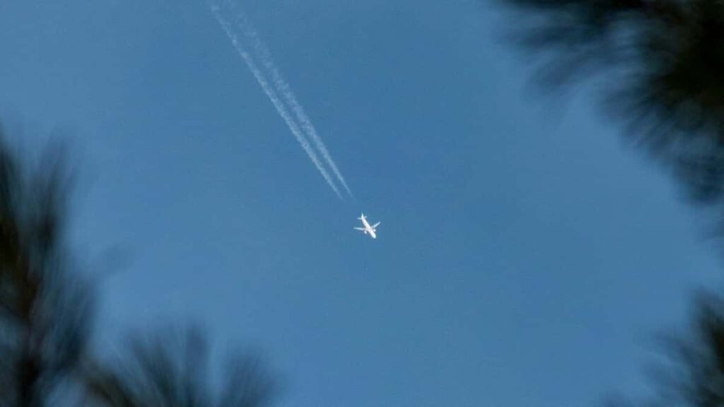 2025 Spain TikTok AllCategory Advertising Rate Card Togo Perspective