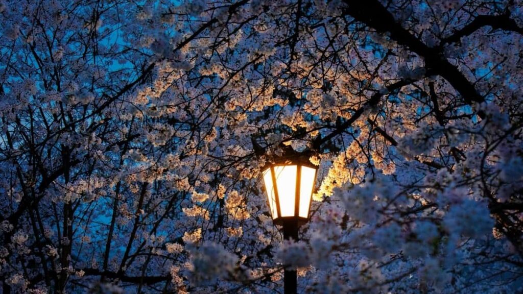 2025 Ivory Coast Instagram AllCategory Advertising Rate Card for Togo