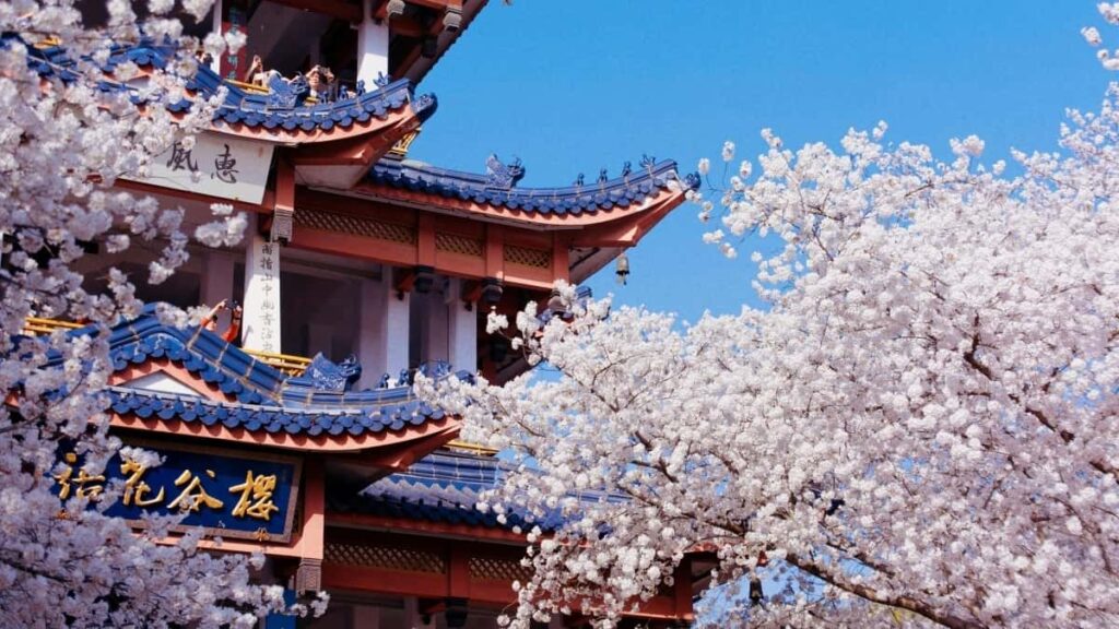 2025 South Korea TikTok AllCategory Advertising Rate Card for Togo Market