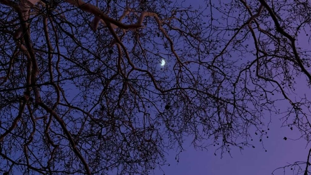 2025 Ivory Coast YouTube AllCategory Advertising Rate Card for Togo