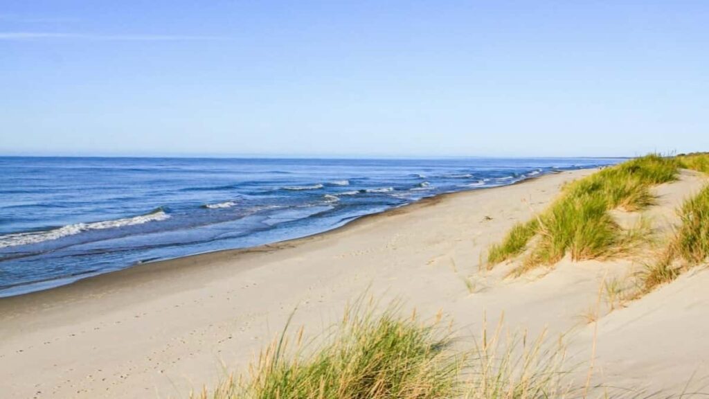 2025 South Africa TikTok AllCategory Advertising Rate Card for Togo