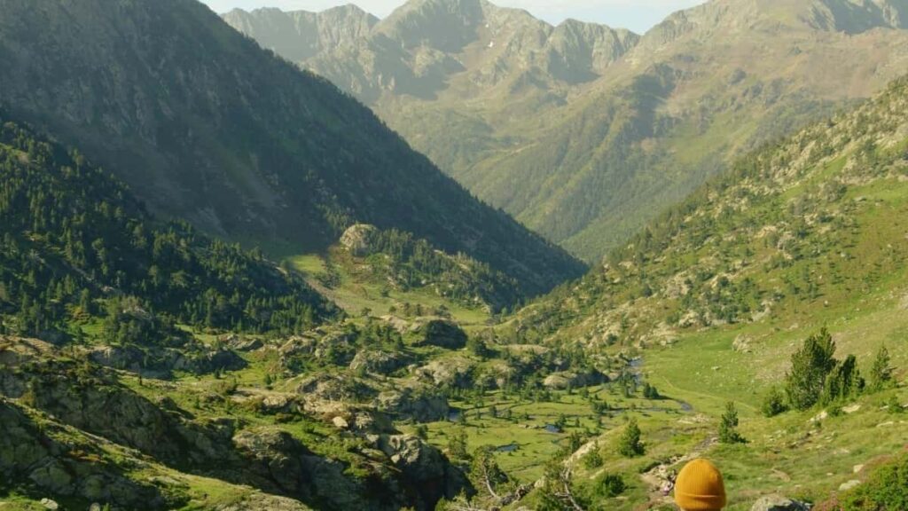 2025 Brazil Pinterest Advertising Rate Card nu Togo Market Guide