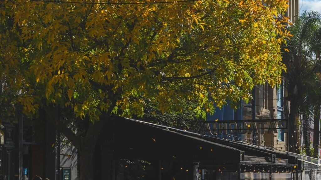 2025 United States YouTube Advertising Rate Card Togo