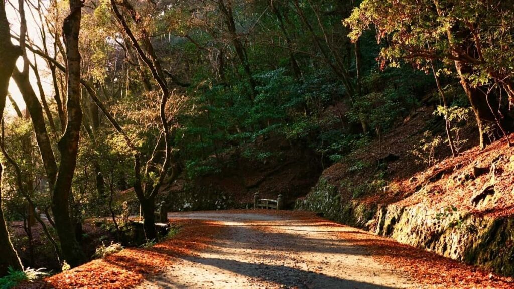 2025 United States Pinterest AllCategory Advertising Rate Card Togo Guide