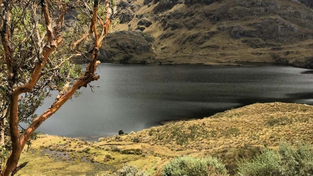 2025 Brazil Facebook Advertising Rate Card yɔ Togo gbɔna