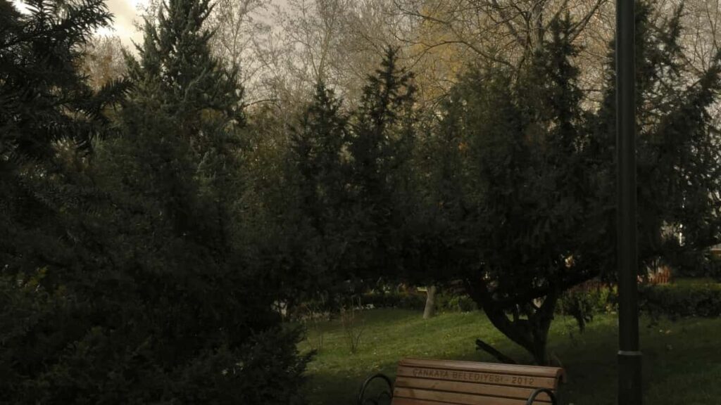 2025 United Arab Emirates TikTok Advertising Rate Card for Togo Market