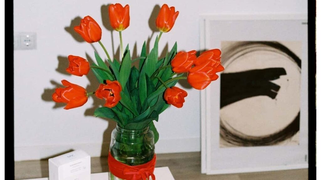 2025 Russia Snapchat Advertising Rate Card Togo Market