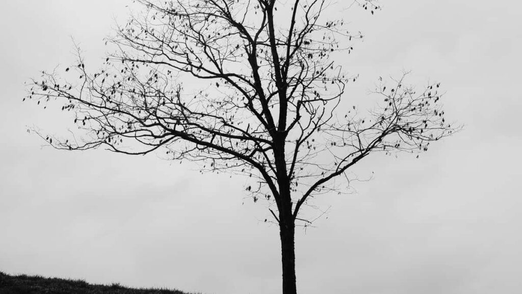 2025 Netherlands Instagram Advertising Rate Card Togo Eye