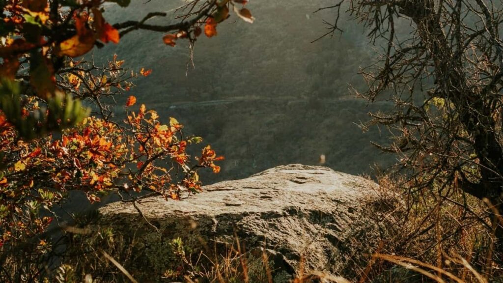 2025 China Facebook Ad Rate Card Togo Market Guide