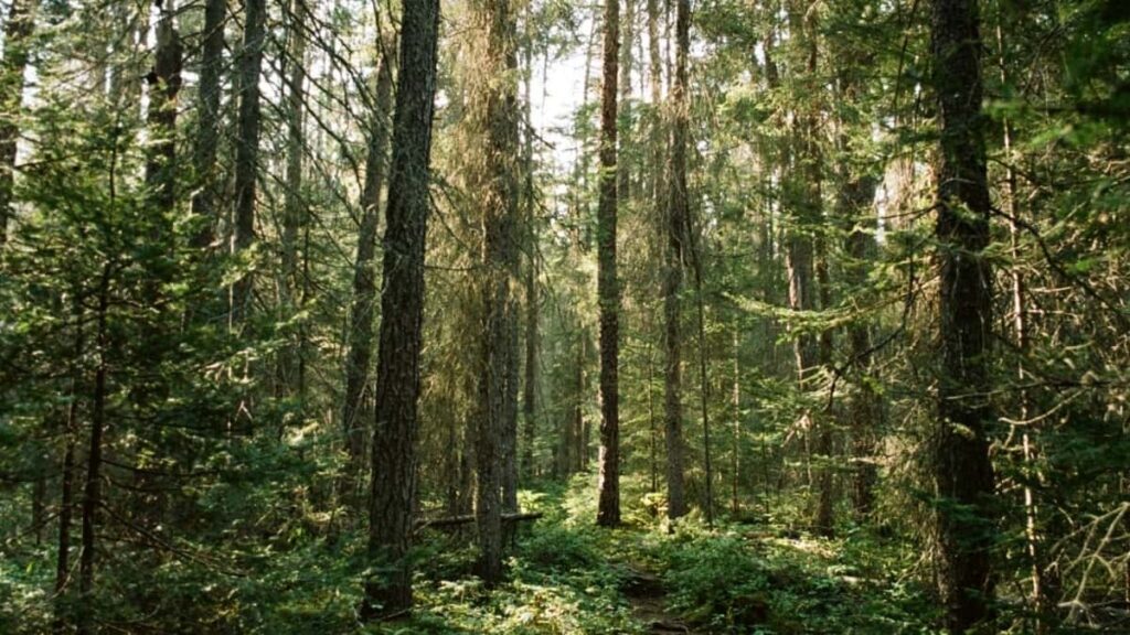 2025 Germany Instagram AllCategory Advertising Rate Card Togo Marketeers