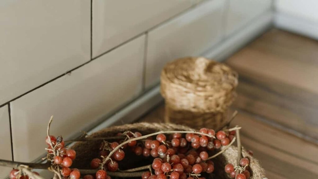 2025 Portugal YouTube Ad Rates Togo Marketing Guide