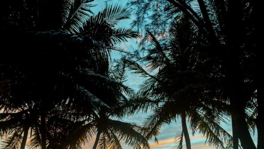 2025 India LinkedIn All Category Advertising Rate Card Togo