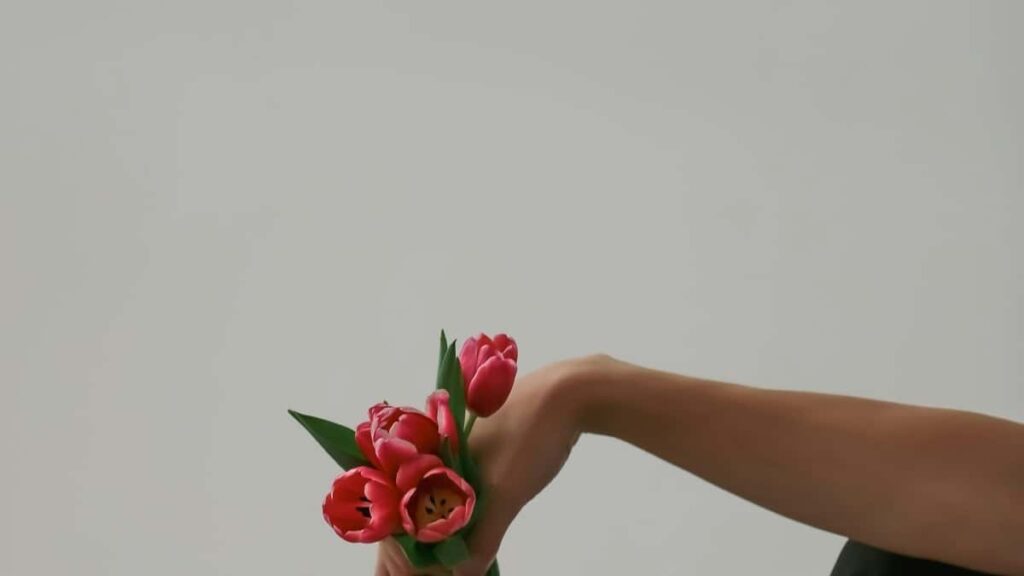 2025 France Pinterest Advertising Rate Card na Togo Market