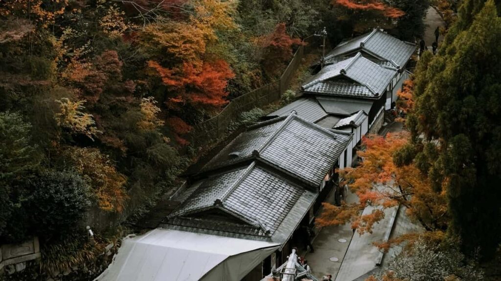 2025 Portugal TikTok AllCategory Advertising Rate Card Togo Eye