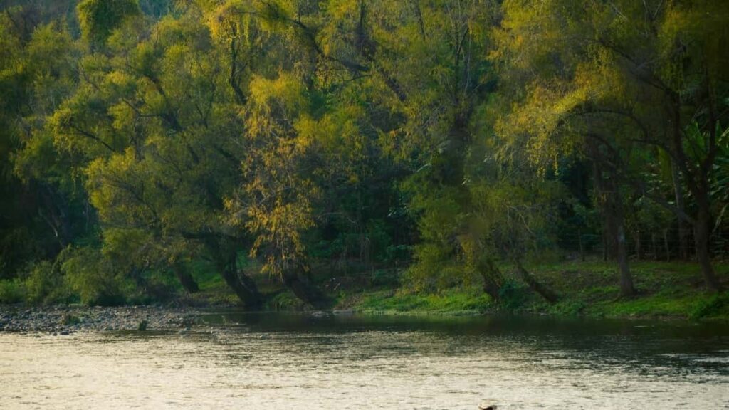 2025 Russia Snapchat Gbɔgbɔ Kpɔtɔwo Adɔwɔlawo Tɔgbui