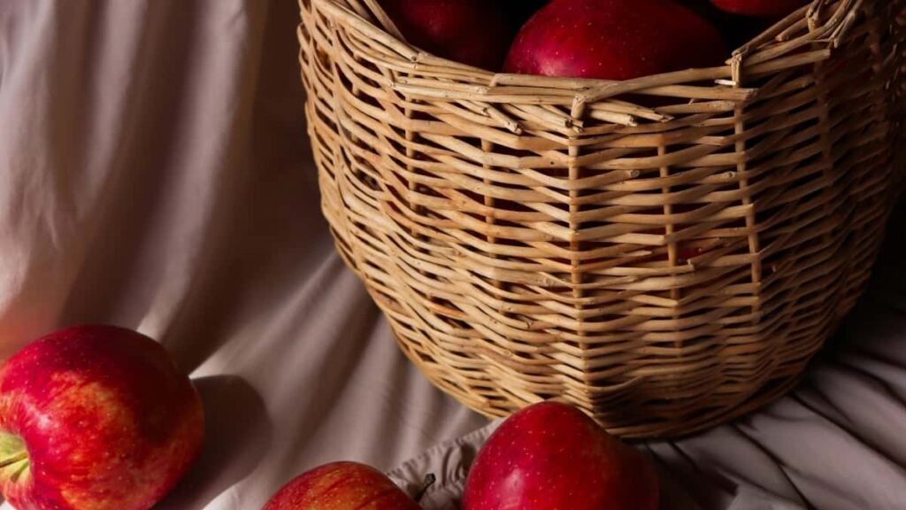 2025 United Arab Emirates Twitter All Category Advertising Rate Card