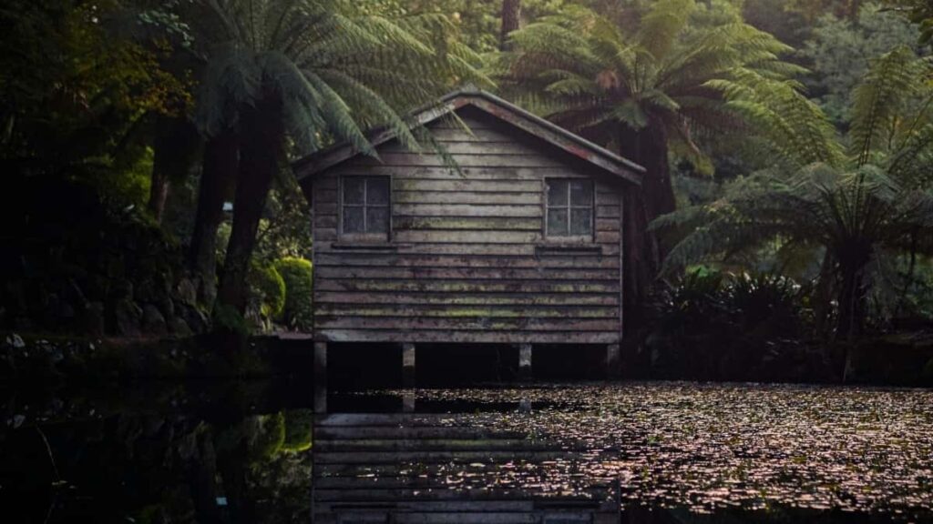 2025 Canada LinkedIn Eksɔpɔ Adzrɛtɔ Fɔlɔ Togo Ŋutɔ