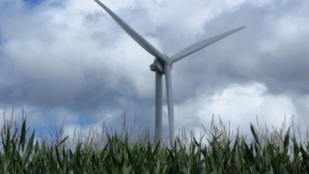 2025 Ivory Coast Snapchat Advertising Rate Card for Togo Market