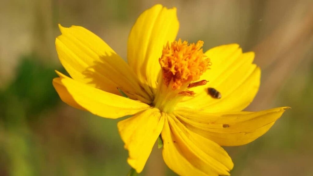 2025 Benin WhatsApp AllCategory Advertising Rate Card Togo