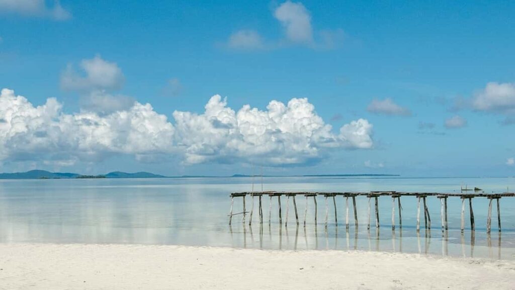 2025 United Arab Emirates Twitter Advertising Rate Card Togo