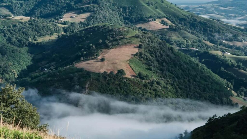 2025 France Instagram Advertising Rate Card Togo Bizness Guide