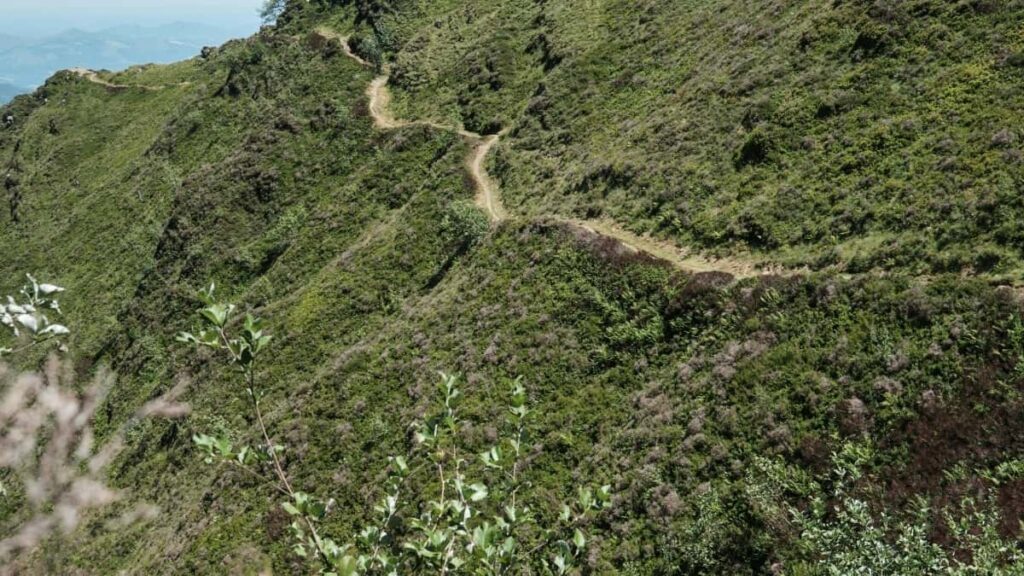 2025 Morocco Instagram All Category Advertising Rate Card Togo