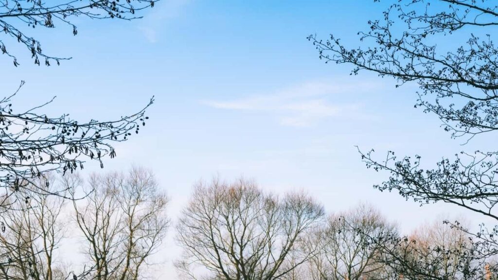 2025 United Kingdom Instagram Advertising Rate Card Togo