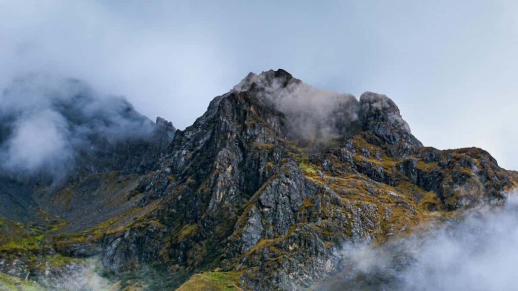 2025 Russia Pinterest AllCategory Advertising Rate Card Togo Perspective