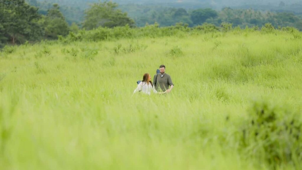 2025 Spain Instagram Advertising Rate Card for Togo Marketers