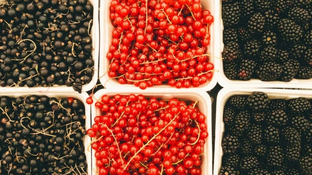 2025 Egypt Telegram All Category Advertising Rate Card for Togo