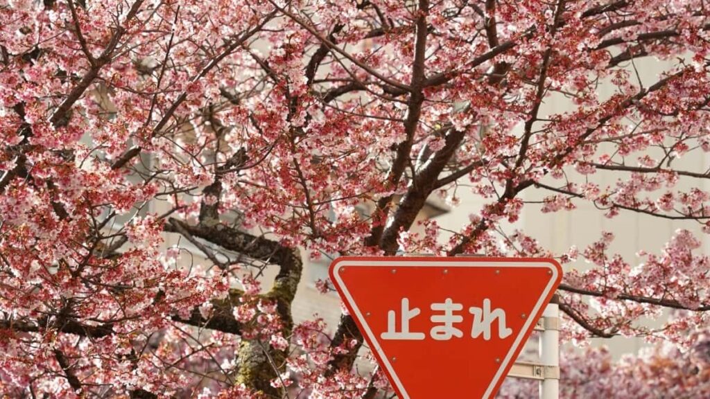 2025 China YouTube Advertising Rate Card for Togo Market