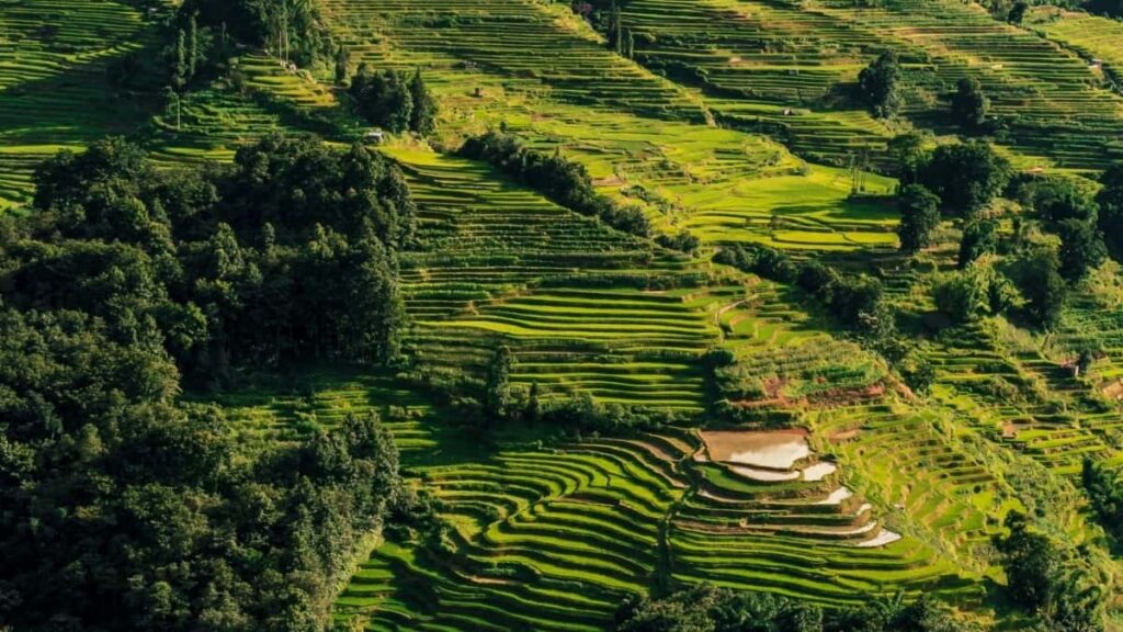 2025 China YouTube Dɔwɔtɔ Kɔstɛ fɔ Togo Markɛt