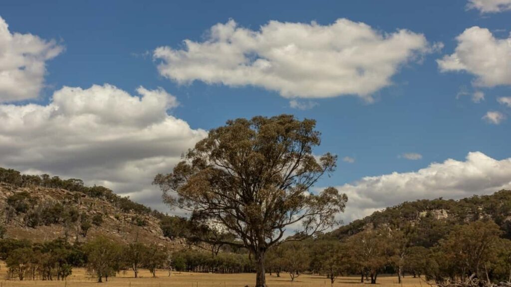 2025 Russia TikTok Advertising Rate Card kple Togo Marketing Gbe