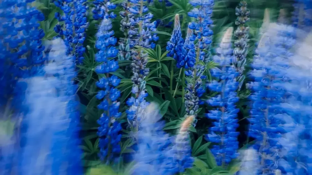 Découvrez comment les créateurs togolais comparent leurs produits habituels sur eBay et Costa Rica pour mieux choisir.