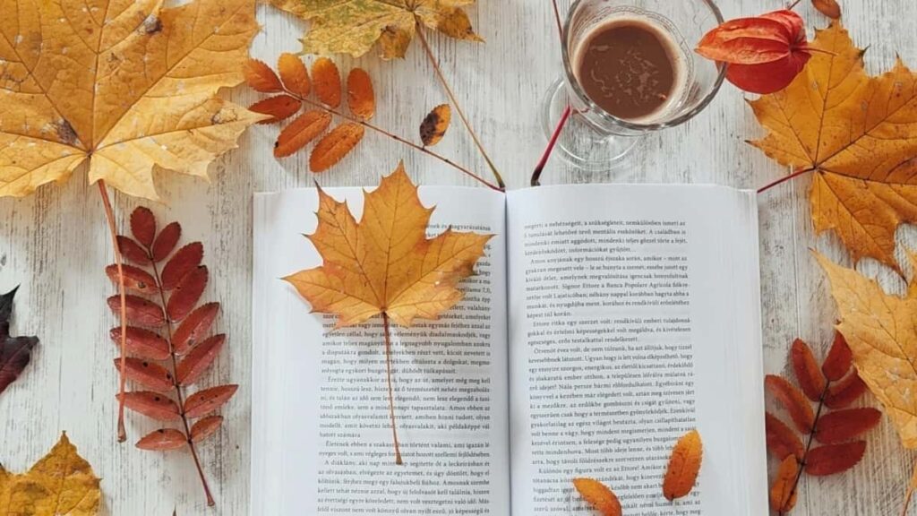 Ɛkwan pa so a Moj creators wɔ Georgia betumi afa so anya mfaso wɔ affiliate program mu.