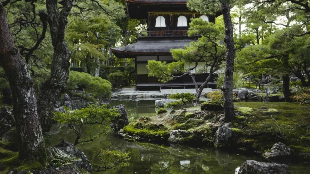 Togo creators dey use vkontakte host live stream sessions, grow fans and monetize content online.