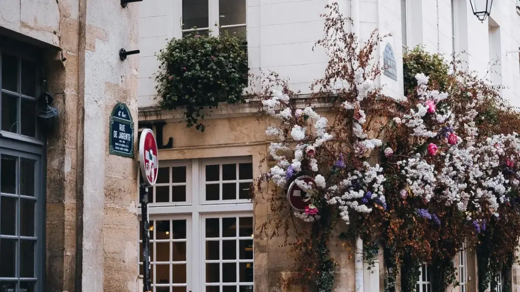 Wɔna ŋutsu kple Poland brands le Amazon me eye wòle testmonial videos dzraŋu, wòbu na woaɖe gome.