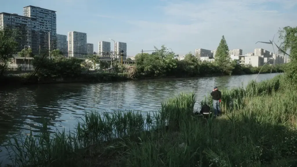 Apprenez comment trouver les créateurs Lazada en Pologne pour lancer vos tutoriels maquillage avec succès.