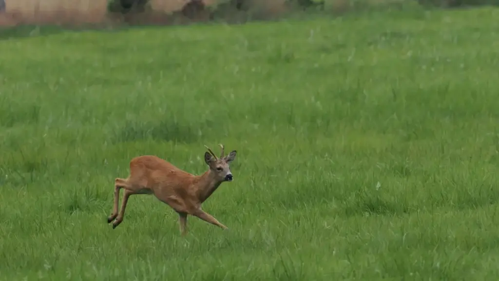 Discover practical tips for advertisers in Togo to connect with Lebanese SoundCloud creators and boost viral video content.