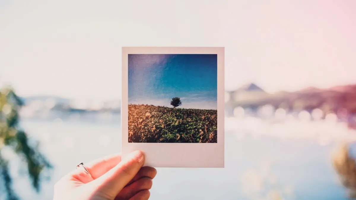 Advertisers Togo: How to Sponsor Ireland Pinterest Creators’ BTS Content?