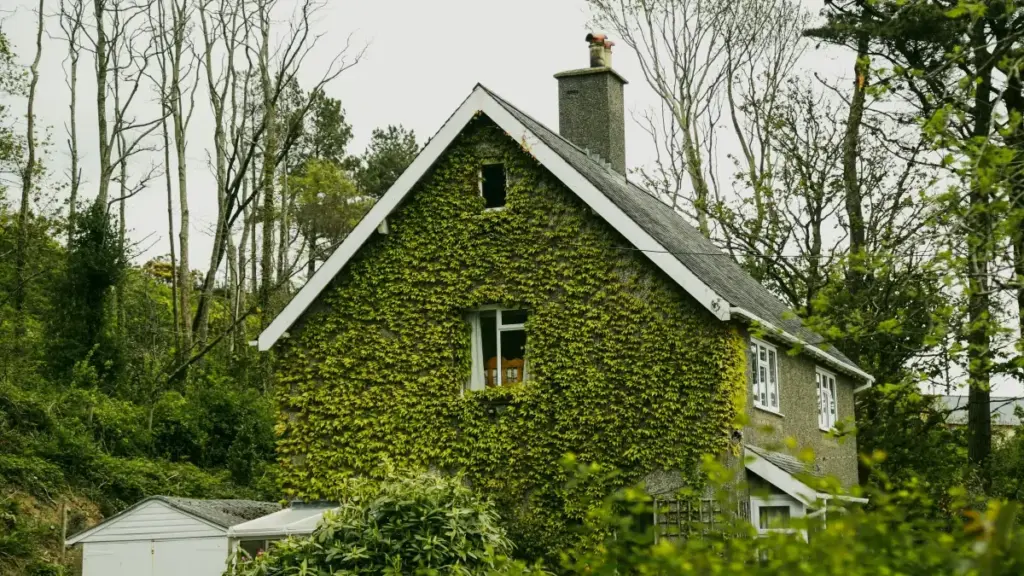 Guide pratique pour les annonceurs togolais cherchant à collaborer avec des créateurs Instagram iraniens pour des lancements de produits co-marqués.