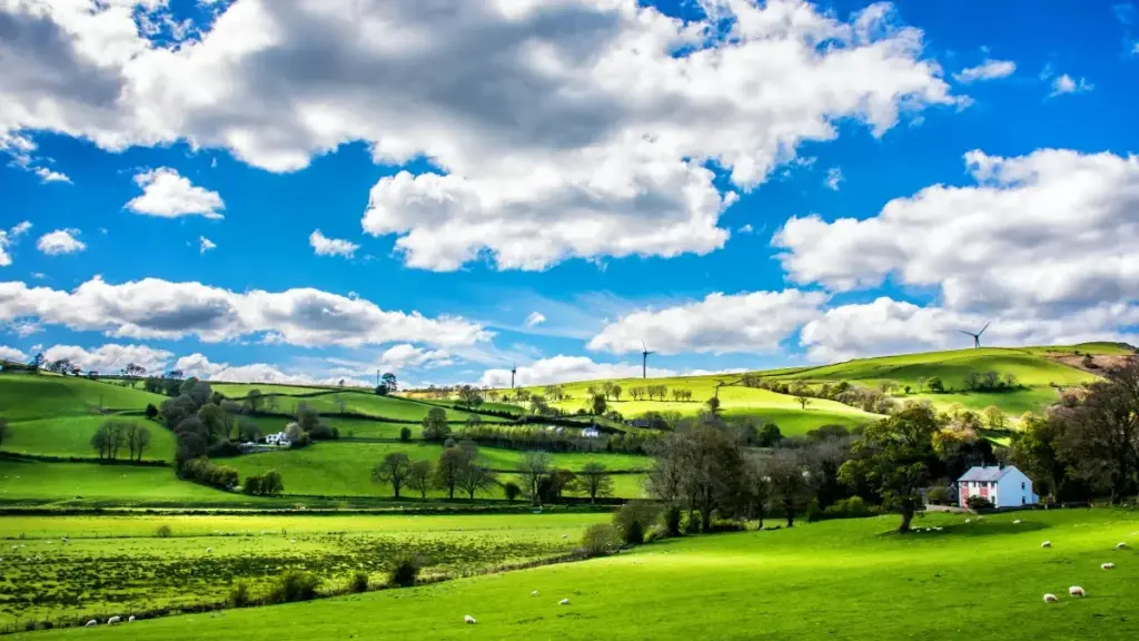 Apprends comment les créateurs au Togo peuvent contacter des marques suédoises sur Spotify pour tester et parler des produits tendance.