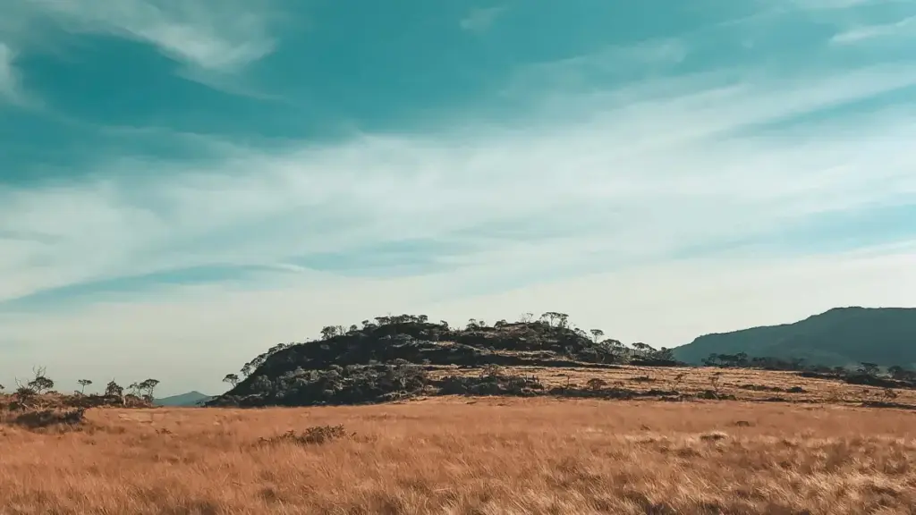 Dzodzroviɖa na creators wɔ Togo be wòle Morocco brands Etsy dzi kple gbɔnye kuku kple product launch.