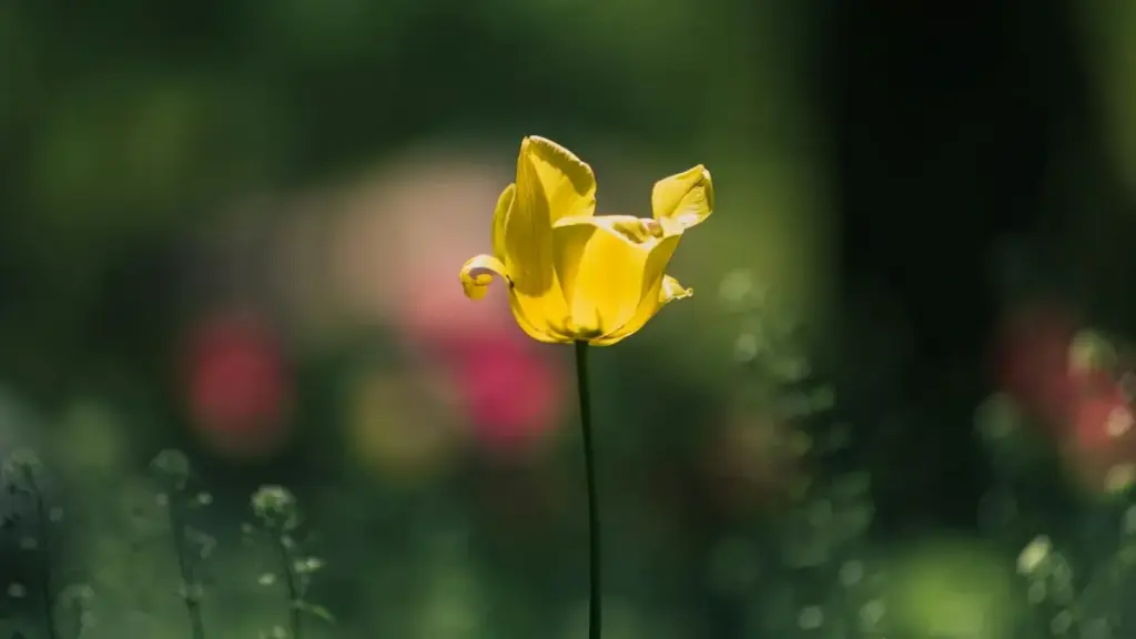 Ŋutsu le dɔwɔla: nyateƒe ɖe how to locate Bolivia creators on JD.com (jingdong) kple strategies ɖe seasonal sales — practical steps, tools, kple risk tips.